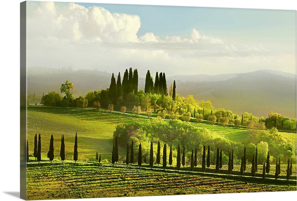 Artwork done of a massive field in Italy that is covered with several types of trees and a large hill can be seen slightly...