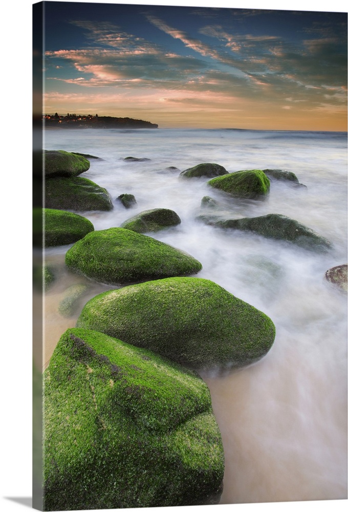Green mossy rocks at Curl Curl Beach Northern Beaches, Sydney NSW Australia.