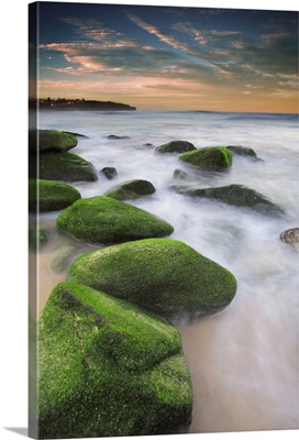 Green mossy rocks at Curl Curl Beach Northern Beaches, Sydney NSW Australia.