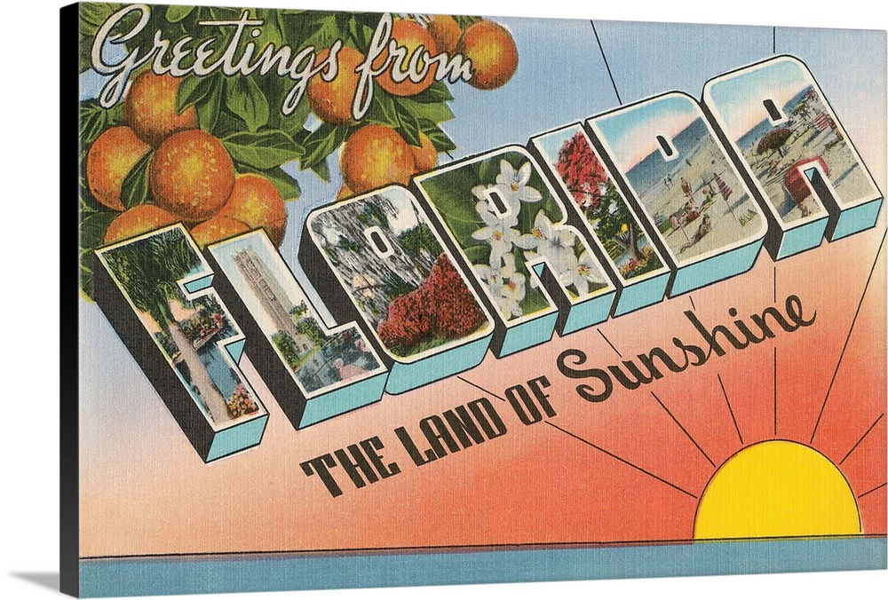 Greetings from Florida, the Land of Sunshine, large letter vintage postcard