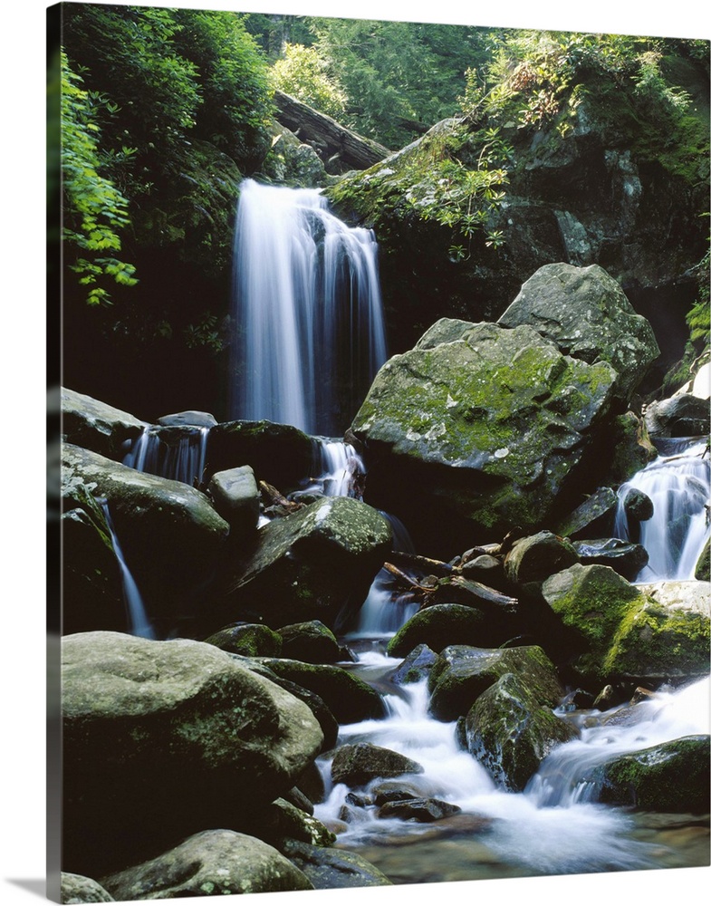 Great Smoky Mountains National Park, Tennessee, United States, North America