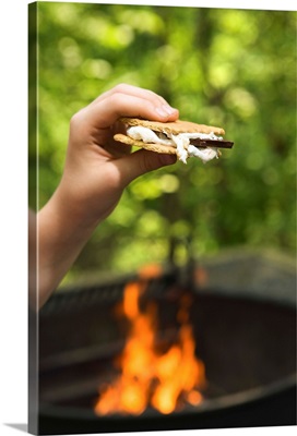 Hand holding smores