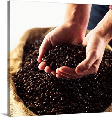 Hands cupping coffee beans