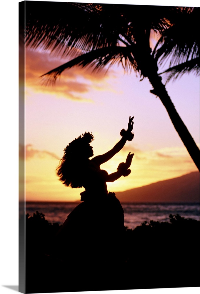 Hawaiian Islands hula dancer