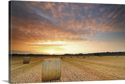Hay bale field pictured during summer's sunrise, near Christchurch, Dorset, UK.