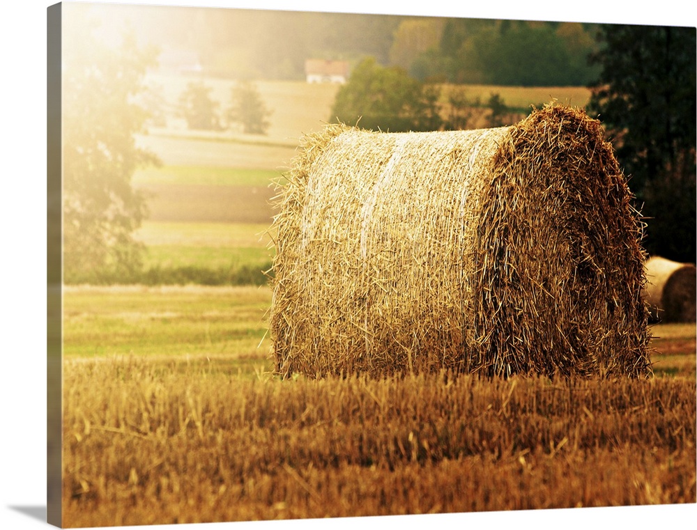 Hay bale on field.