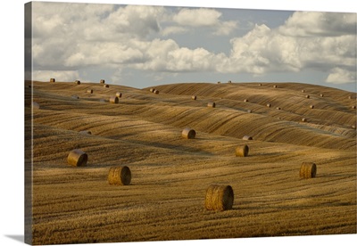Hay bales and rolling landscape, Tuscany, Italy