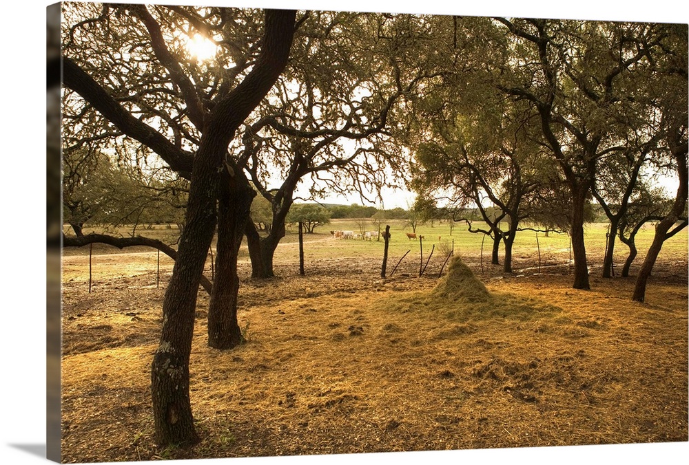 Haystack on ranch property