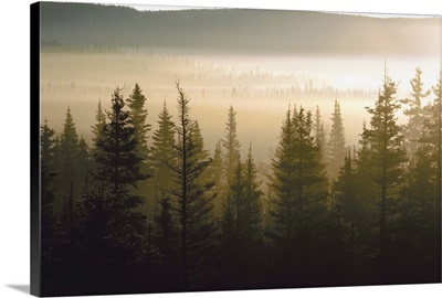 Haze Over Lake In Forest At Dawn, Quebec, Canada