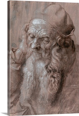 Head Of An Old Man By Albrecht Durer