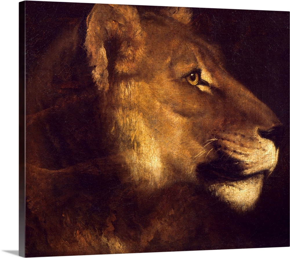 Head of lioness. Painting by Theodore Gericault (1791-1824), 19th century. 0,55 x 0,65 m. Louvre Museum, Paris