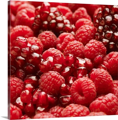 Healthy and nutritious red berries