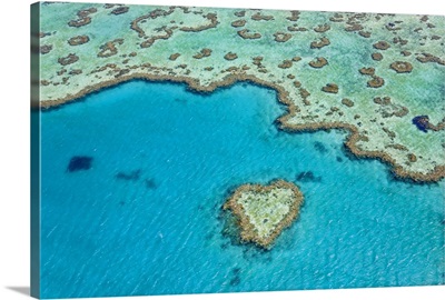 Heart Reef, Part of Great Barrier Reef, Australia