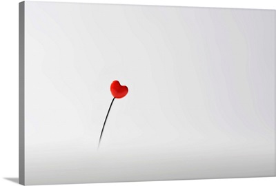 Heart-shaped pin