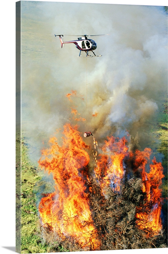 Close-up aerial of Hughes 500D helicopter flying over fire of enormous pile of burning dead tree branches near Kahoolawe; ...