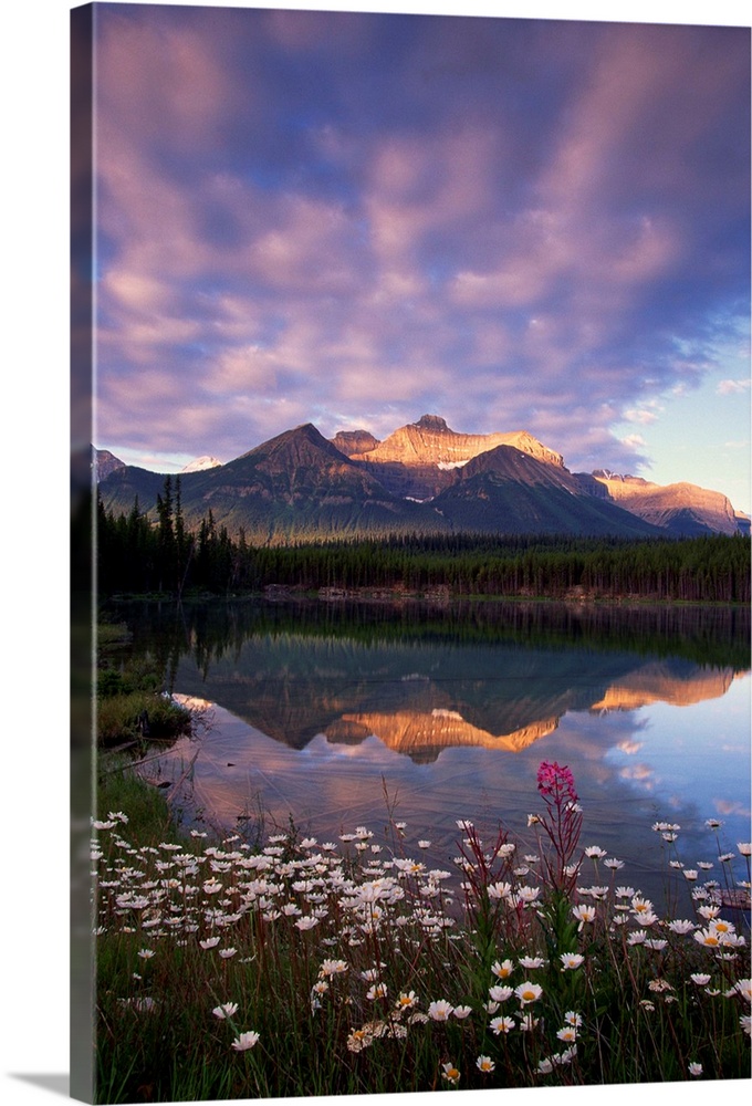 Herbert Lake and Mount Niblock , Banff National Park , Alberta , Canada