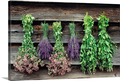 Herbs Drying Upside Down