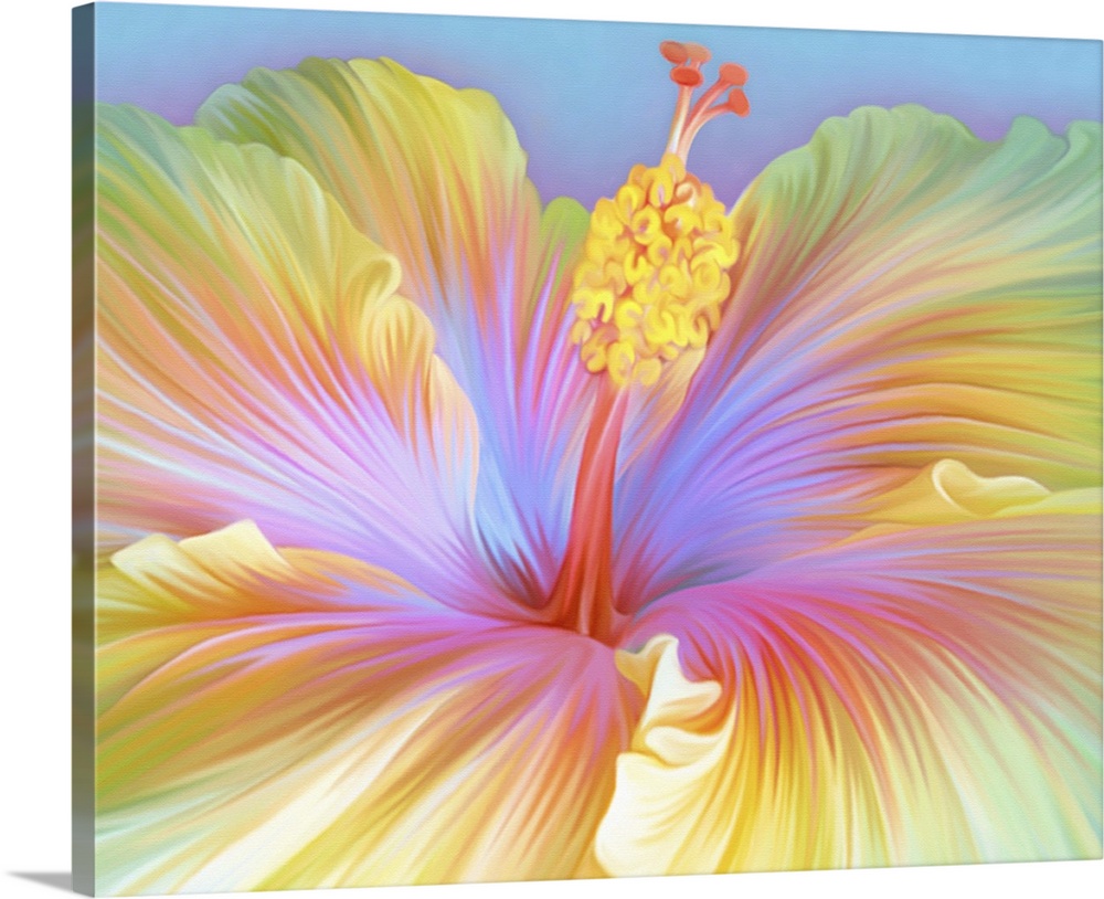 Close up illustration of colorful hibiscus flower.