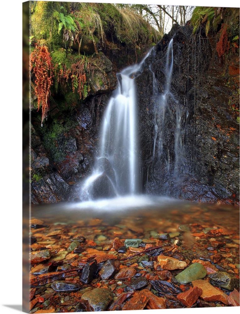 Waterfall splashing down rocky stream in an oak forest.