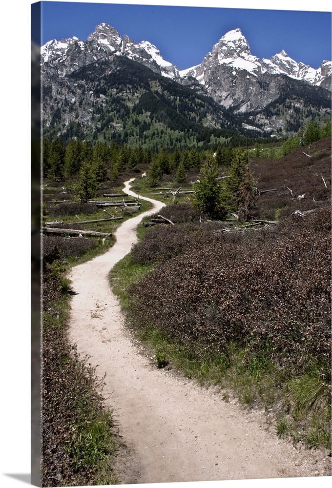 Grand Teton National Park, Taggart Lake, hike, hiking, outdoors, trail, landscape, nature.