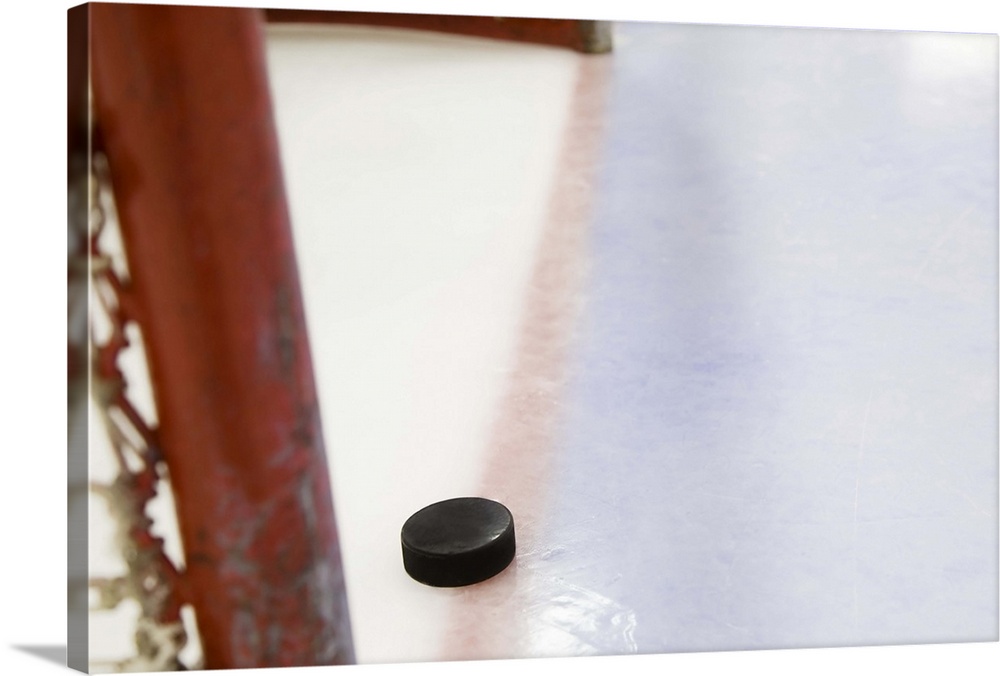 Hockey net and puck