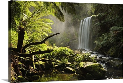 Hopetoun Falls, Great Otway National Park, Victoria, Australia