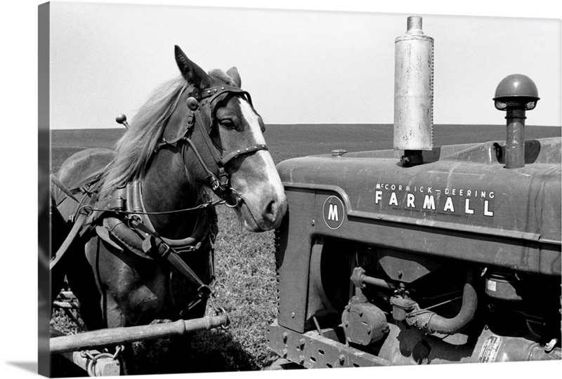 Horse and Tractor, Iowa, 1940 Great Big Canvas