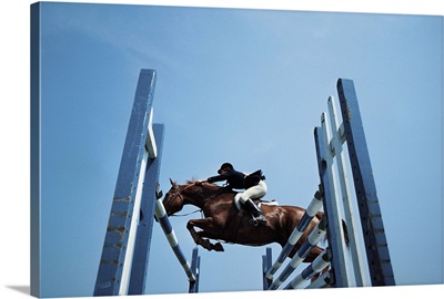 Horse show jumping