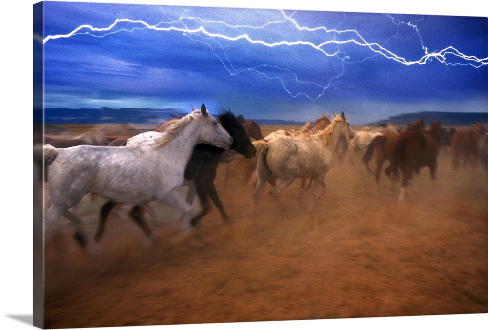 Running horses during a lightning storm.