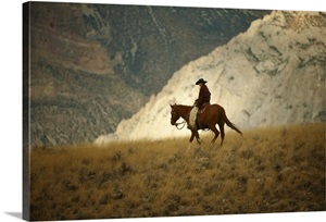 Horseback Rider image thumbnail