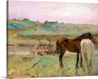 Horses In A Meadow