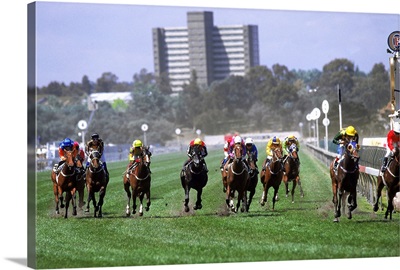Horses in the Great Western HCP race, Melbourne Cup Carnival, Victoria, Australia