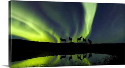Horses Under The Aurora Borealis