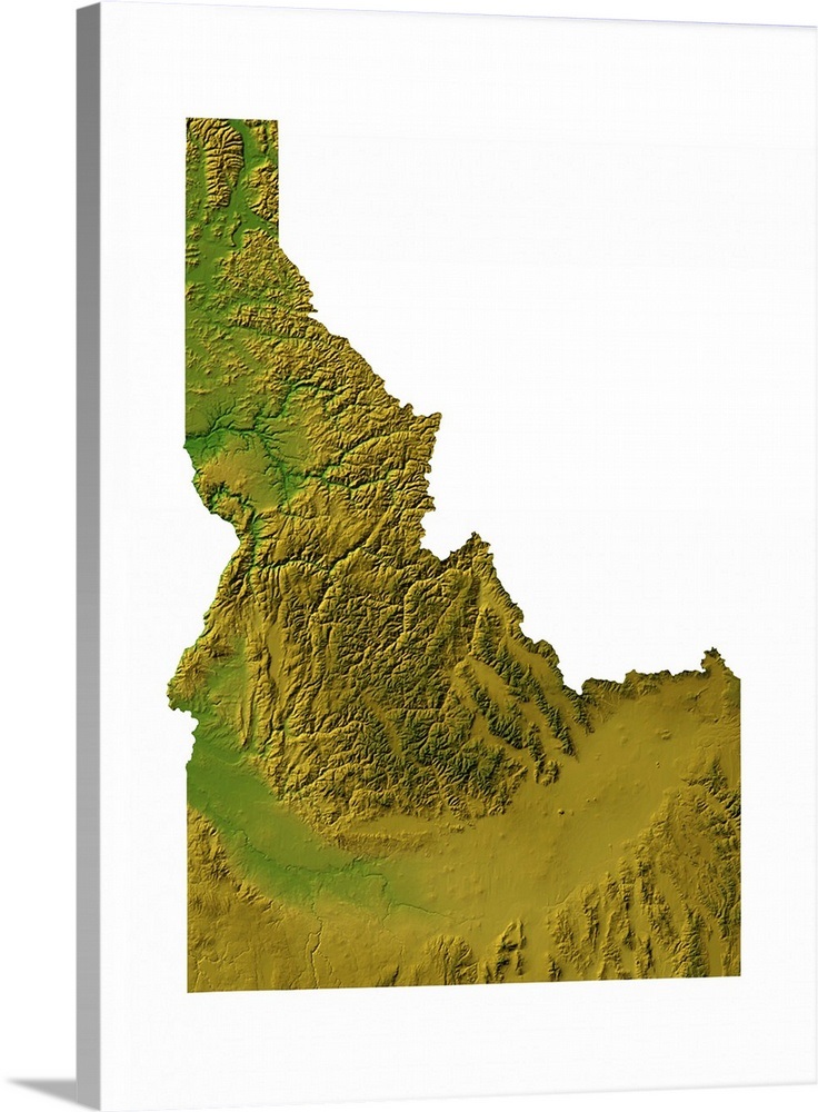 Idaho topographic map Wall Art, Canvas Prints, Framed Prints, Wall