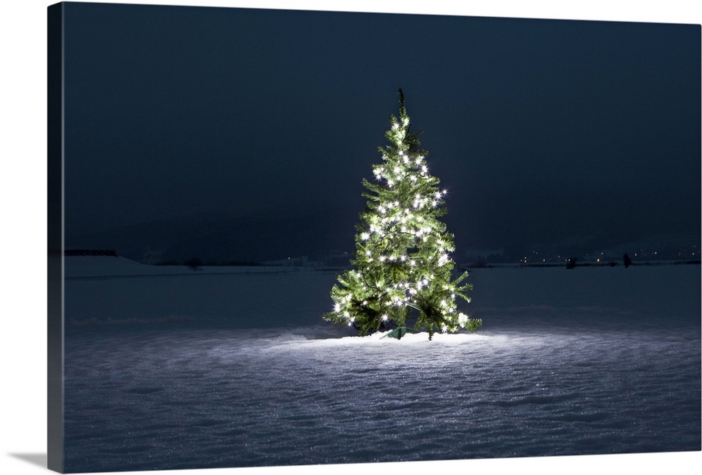 Illuminated Christmas tree on the snow at night