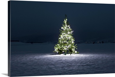 Illuminated Christmas tree on the snow at night