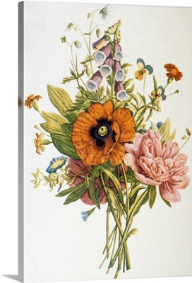 Illustration Depicting A Bouquet Of Poppies, Carnations And Foxglove