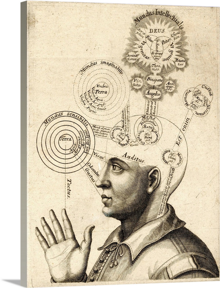 Human Thought. A diagram of a man's brain with the areas relating to the input of the senses, the imagination, and intelle...