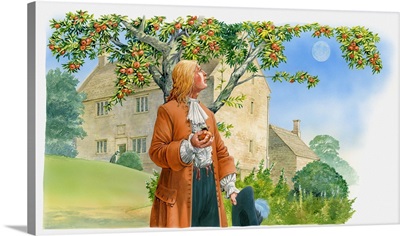 Illustration of Sir Isaac Newton holding apple in hand and looking up at tree