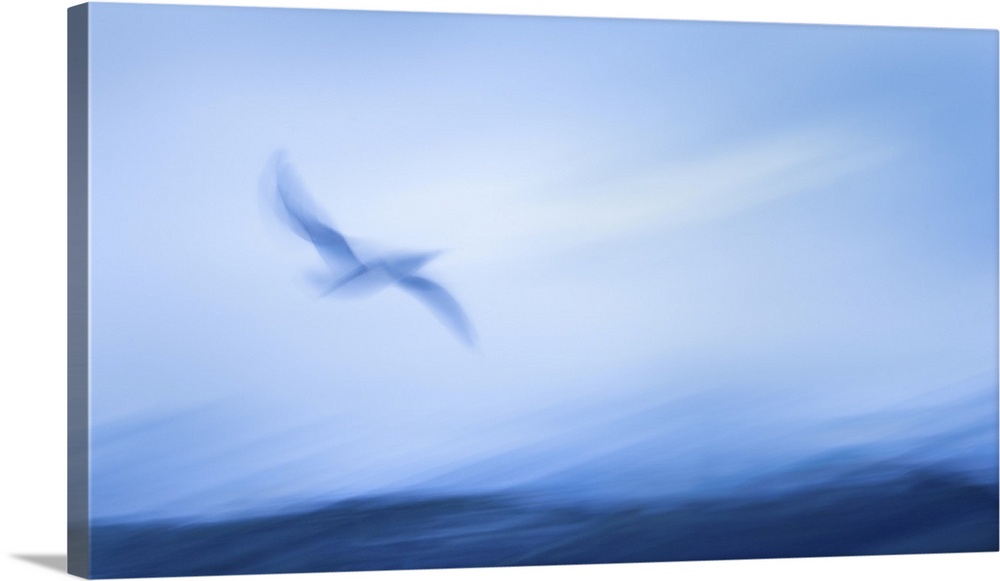 Impressionism image of seagull flying above the sea waves. Image captured using intentional camera movement technique for ...