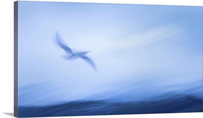 Impressionism Image Of Seagull Flying Above The Sea Waves