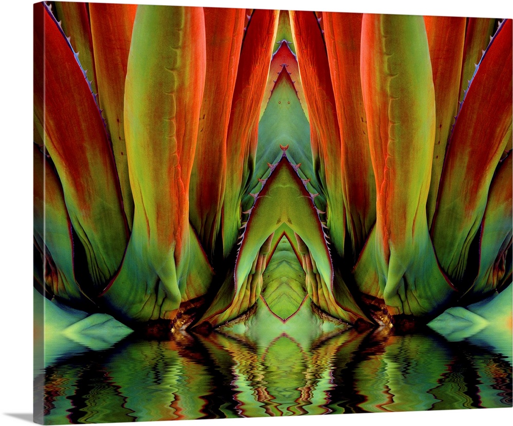 Inside a Flower --- Image by .. Jim Zuckerman/Corbis