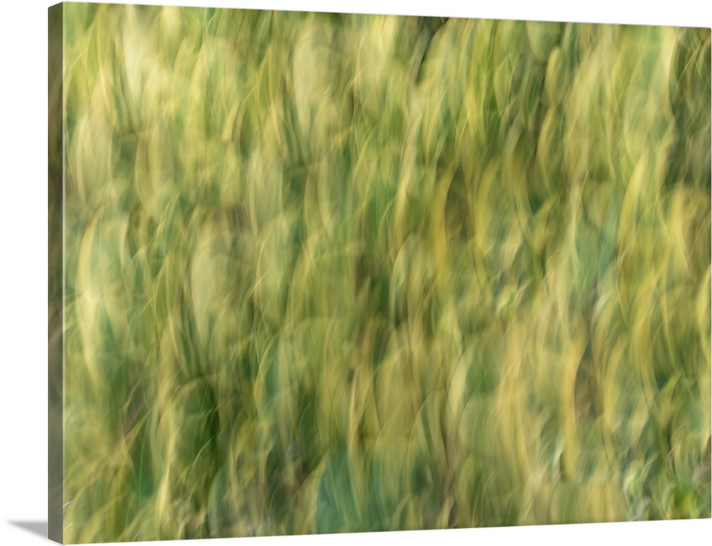 Intentional camera movement photo. France.