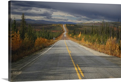 Into the Stormy Taiga, Alaska