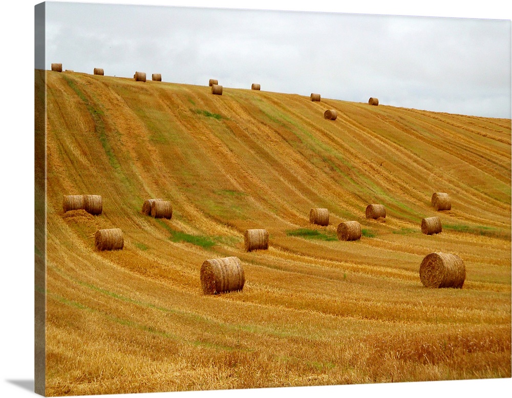 A shot of the country farmlands of Ireland in early fall of 2009.