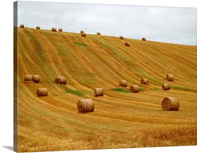 Ireland, farming curves