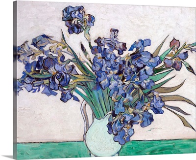 Irises