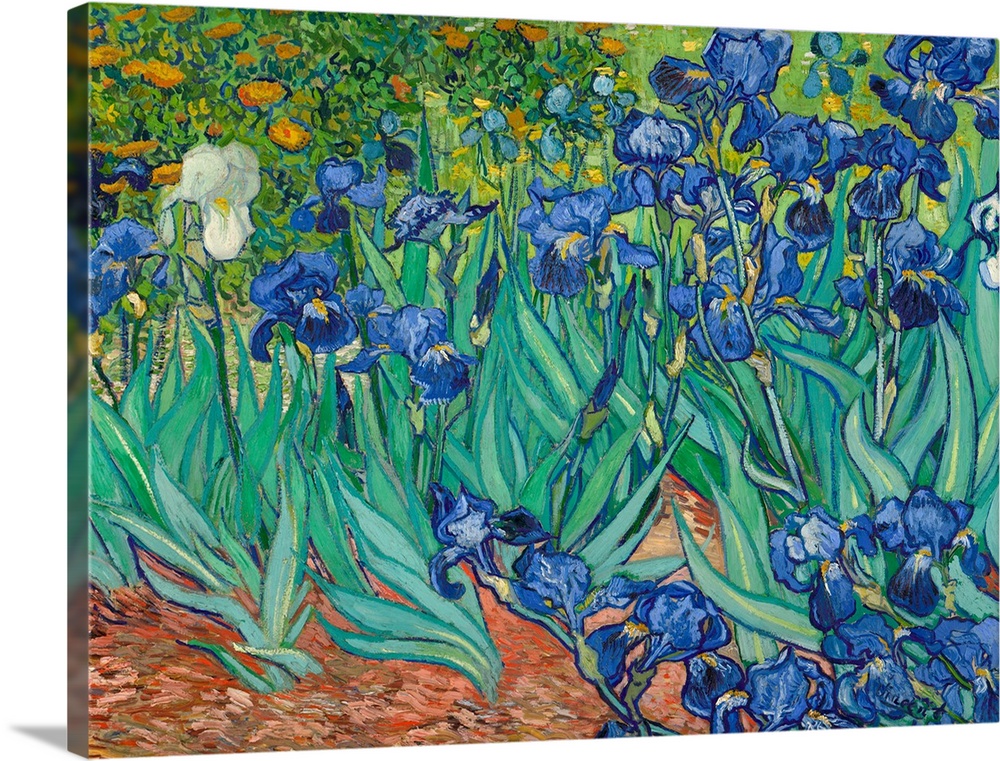 Vincent Van Gogh Irises Canvas Print Painting Framed Home Decor Wall Art Poster 