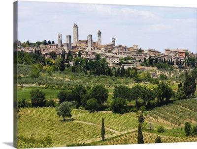 Italy, Vineyards surrounding old town