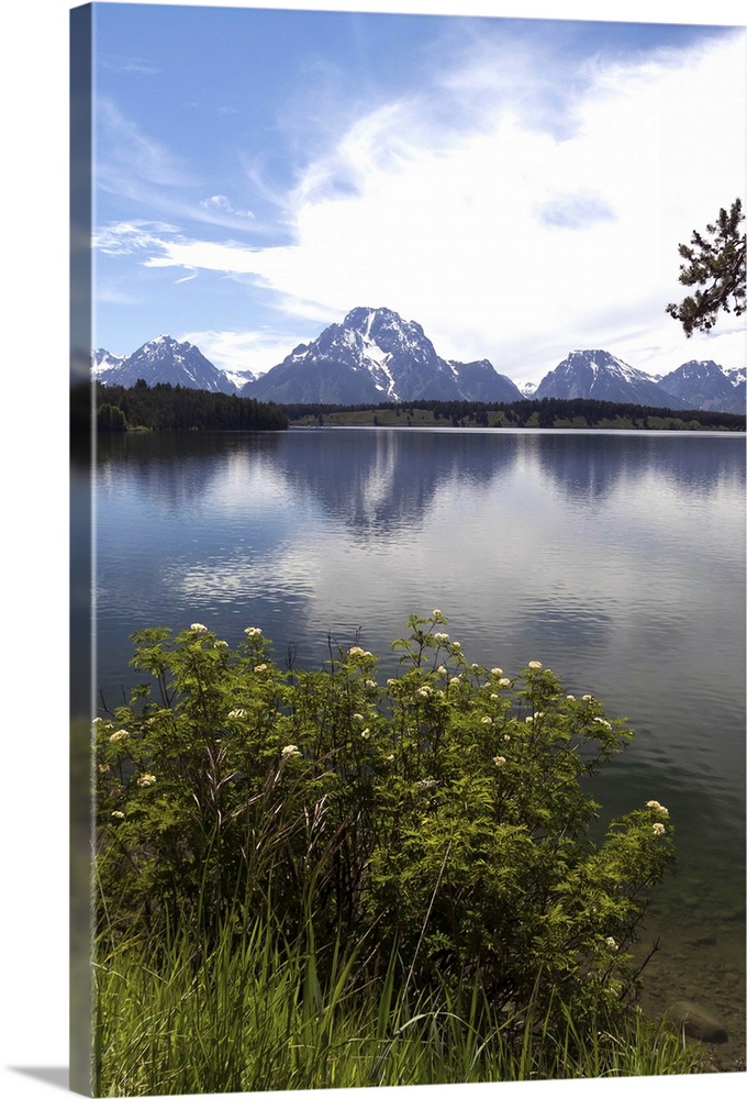 View of Jackson lake with snow mountain in background against blue sky.